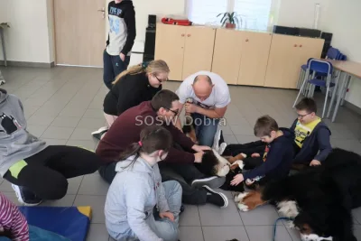 Galeria „Dogoterapia” — zdjęcie 82.