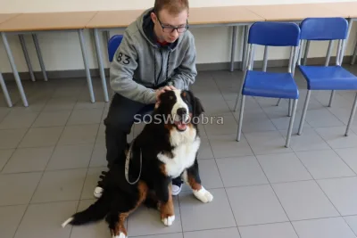 Galeria „Dogoterapia” — zdjęcie 38.