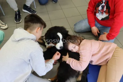 Galeria „Dogoterapia” — zdjęcie 9.