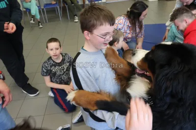 Galeria „Dogoterapia” — zdjęcie 11.