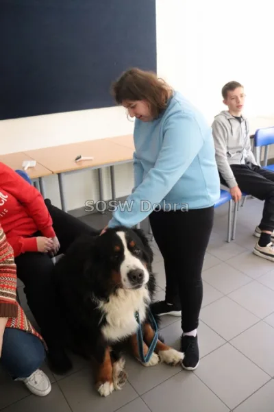 Galeria „Dogoterapia” — zdjęcie 63.