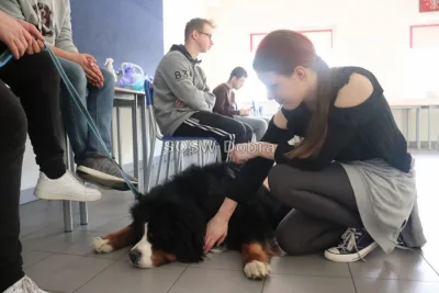Galeria „Dogoterapia” — zdjęcie 126.