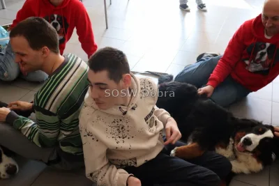 Galeria „Dogoterapia” — zdjęcie 22.