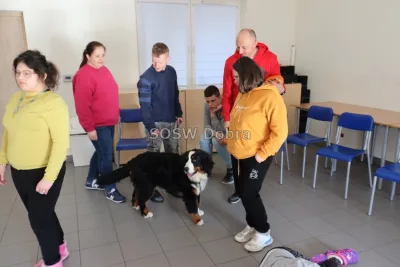 Galeria „Dogoterapia” — zdjęcie 49.
