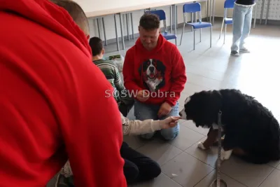 Galeria „Dogoterapia” — zdjęcie 14.