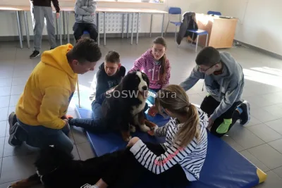 Galeria „Dogoterapia” — zdjęcie 23.