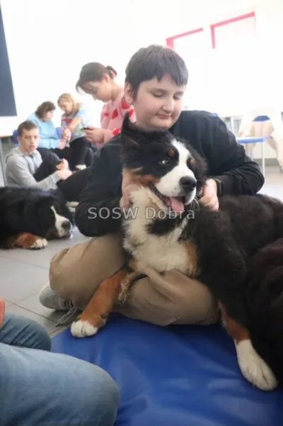 Galeria „Dogoterapia” — zdjęcie 70.