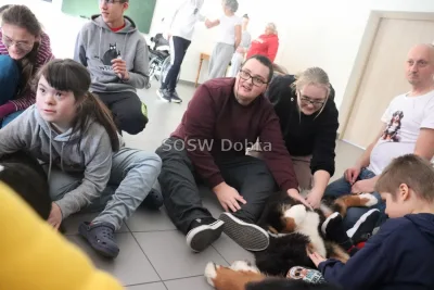 Galeria „Dogoterapia” — zdjęcie 83.