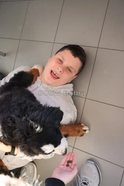 Galeria „Dogoterapia” — zdjęcie 10.