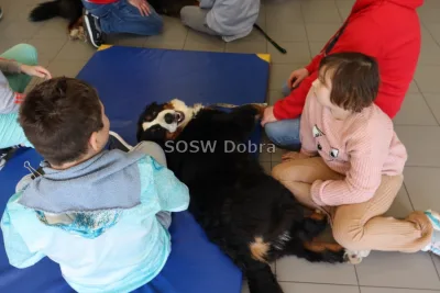 Galeria „Dogoterapia” — zdjęcie 41.
