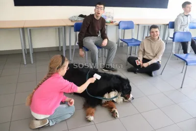 Galeria „Dogoterapia” — zdjęcie 11.