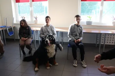 Galeria „Dogoterapia” — zdjęcie 33.