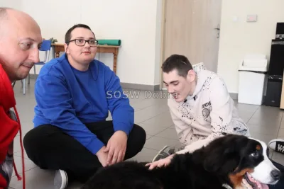 Galeria „Dogoterapia” — zdjęcie 16.