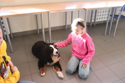 Galeria „Dogoterapia” — zdjęcie 26.