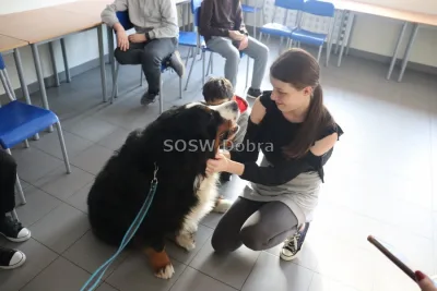 Galeria „Dogoterapia” — zdjęcie 6.