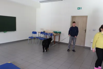 Galeria „Dogoterapia” — zdjęcie 45.