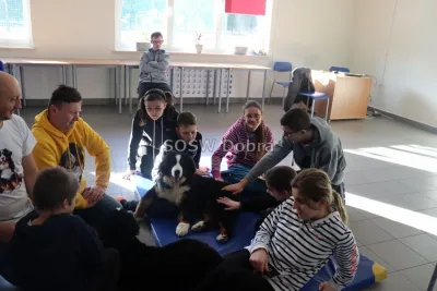 Galeria „Dogoterapia” — zdjęcie 16.